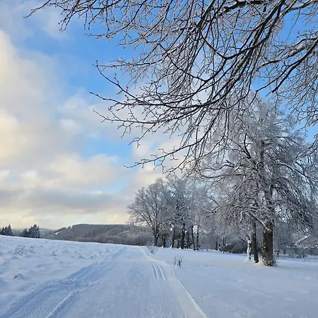 Moderne Zum Wohlfuehen- Gehlberg *