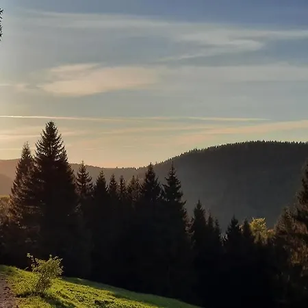Moderne Zum Wohlfuehen- Gehlberg Apartment *