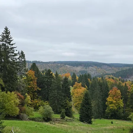 Apartment Moderne Zum Wohlfuehen- Gehlberg *