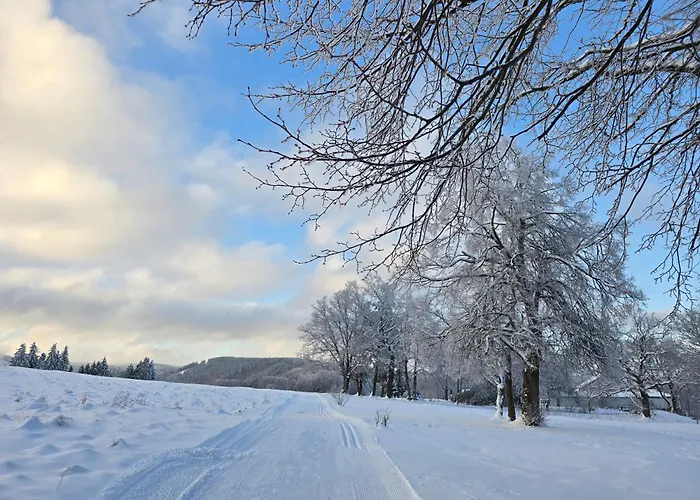 Moderne Zum Wohlfuehen- Gehlberg *