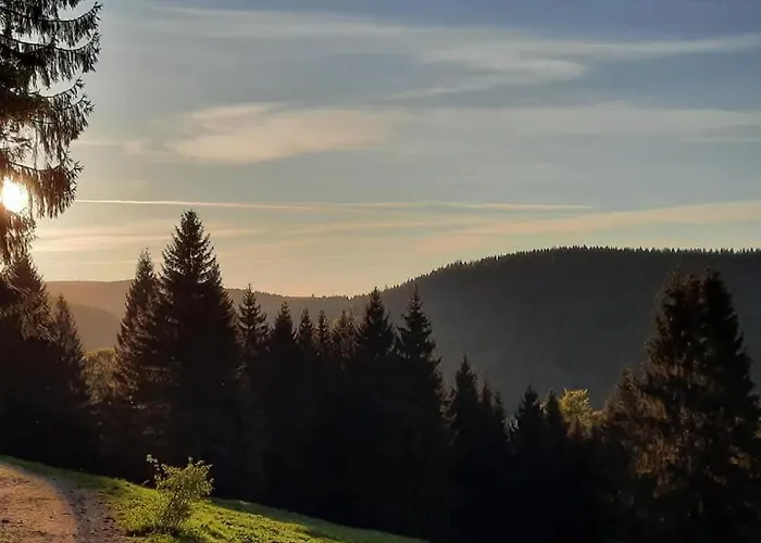 Moderne Zum Wohlfuehen- Gehlberg Apartment *