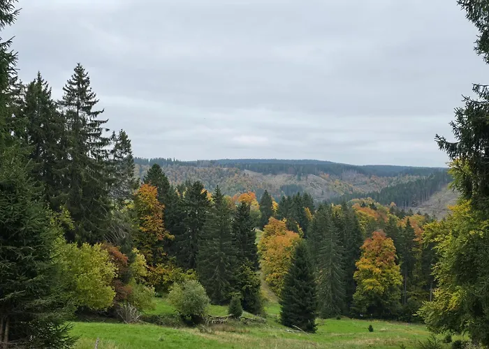 Apartment Moderne Zum Wohlfuehen- Gehlberg *